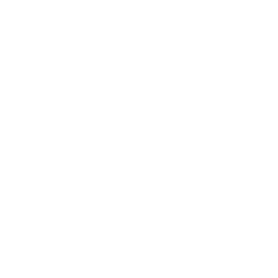 Ollama